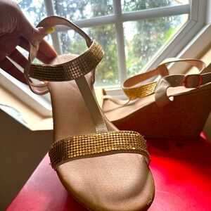 Sequin Wedge Sandals size 13